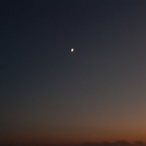 Meet your Posher, Corban